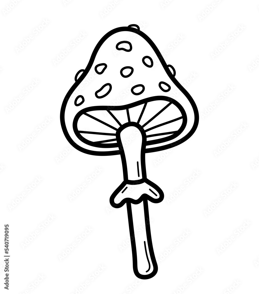Poisonous fly agaric. Hand drawn sketch icon of amanita. Isolated vector illustration in doodle line style. Poisonous fly agaric. Hand drawn sketch icon of amanita. Isolated vector illustration in doodle line style.