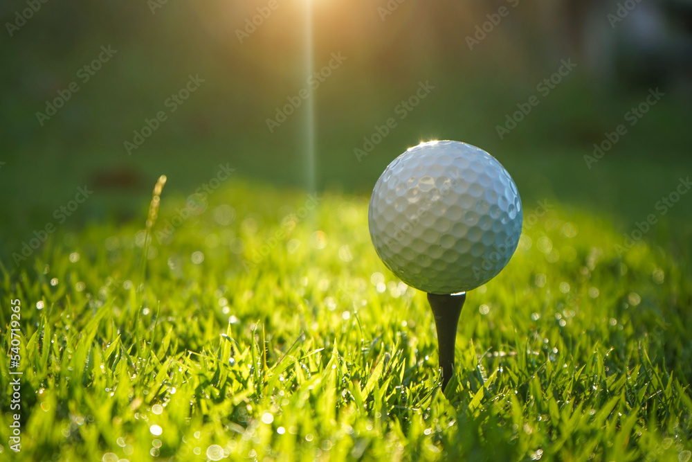 Golf ball is on tee at green lawn in a beautiful golf course with morning sunshine.Ready for golf in the first short. Golf ball is on tee at green lawn in a beautiful golf course with morning sunshine.Ready for golf in the first short.