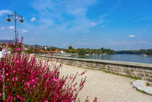 beautiful river side in Szentendre next to Danube river with sidewalk promenade and pink Gaura lindheimeri flower photo