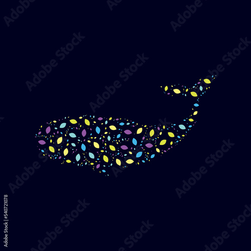 whale colors pattern design