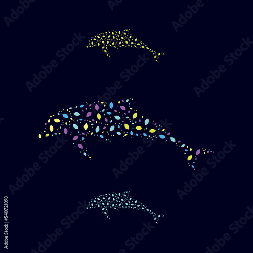Dolphin colors vector illustration