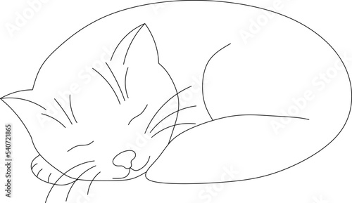 The cat is sleeping. Coloring page with a cute pet.
