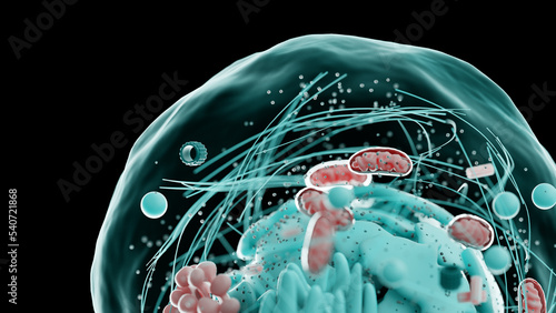 Bild auf Leinwand human cell