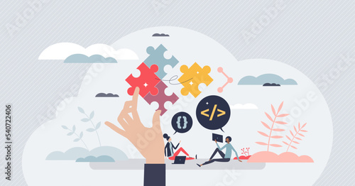 Software developers and programming language coding tiny person concept. Professional website or application script writer with job experience vector illustration. CSS process for website optimization