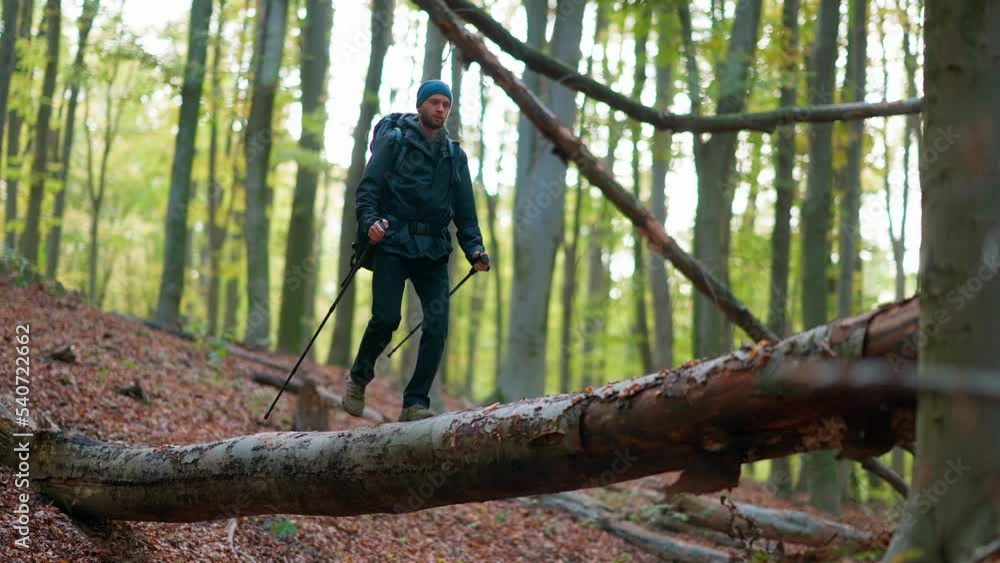 A young man goes hiking in the autumn forest. A young man goes hiking in the autumn forest.
