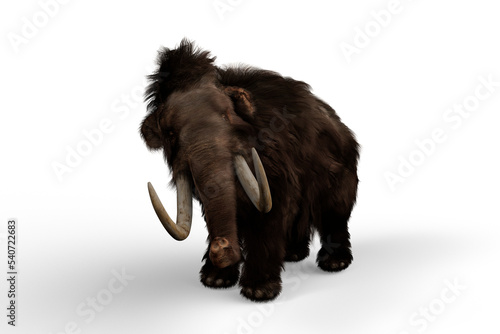 3D illustration of a Woolly Mammoth  the extinct relative of the Elephant which lived in the last ice age isolated on a transparent background.