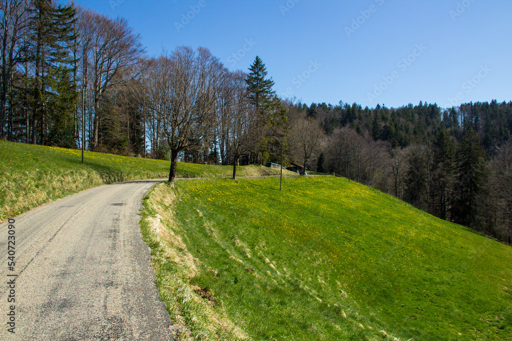 Hills and Forests near Zurich and close to the Alps