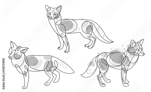 Red fox linear vector illustrations set isolated  cute wild animal wildlife adorable canine  monochrome artistic drawings.