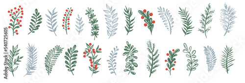 Branches collection hand drawn, vector.