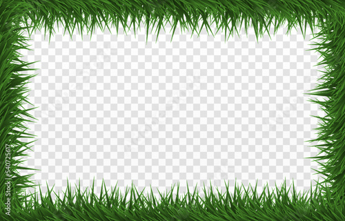 Vector green tinsel PNG. Spruce branches png, pine, spruce. Christmas garland, wreath. Christmas decorations, New Year background.