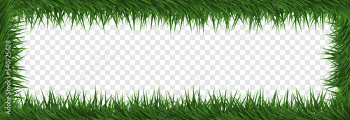Vector green tinsel PNG. Spruce branches png, pine, spruce. Christmas garland, wreath. Christmas decorations, New Year background.