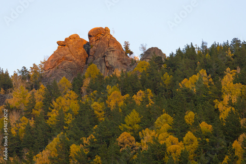 Autumn landscape with Ermak rock pillar at Stolby Nature Reserve in Krasnoyarsk, Russia. The rock is illuminated by the rays of the setting sun. Colorful autumn trees in forest photo