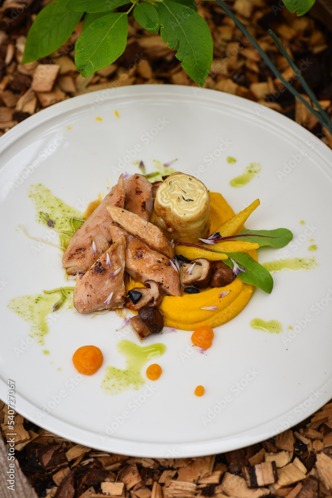 Fine fining chickefn fillets with vegetable. Fine fining chickefn fillets with vegetable.