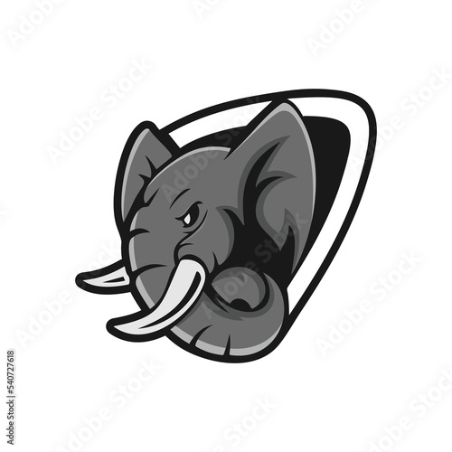 vector illustration of elephant