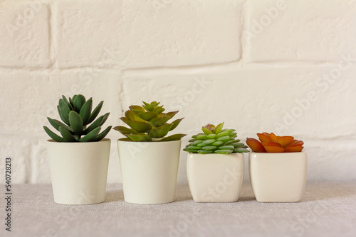 Indoor artificial plants, various succulents in pots. Succulents in white mini-pots. Ideas for home decoration.Copy space.