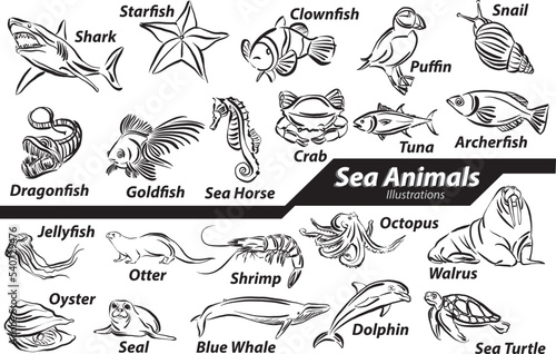 set collection drawings sea animals wild life ocean water lifestyle design vector illustration