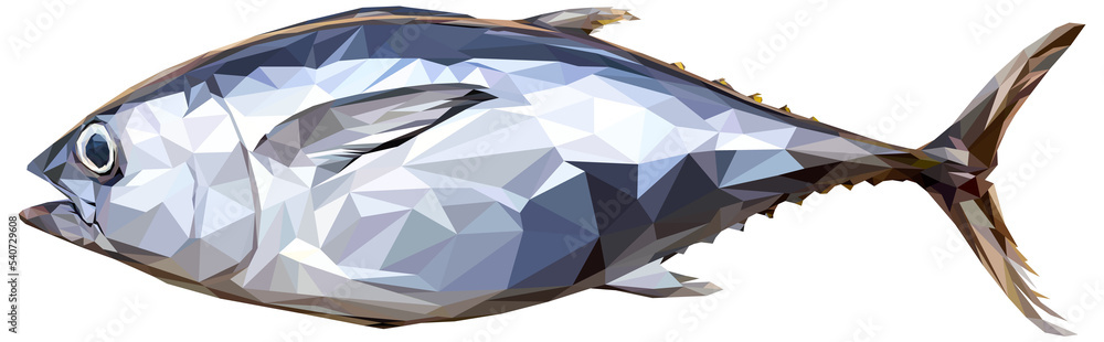Fototapeta premium low polygon art drawing of tuna fish.