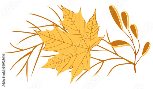 Vector isolated autumnal leaves and branches. Maple. Warm colors. Concept of late autumn.