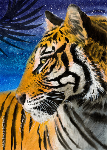 Watercolor illustration of a striped black and red tiger with golden eyes on a starry night background