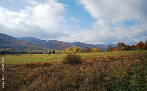 Fototapeta Naklejka Na Ścianę i Meble -  Kolorowa panorama jesienią, niskie góry.