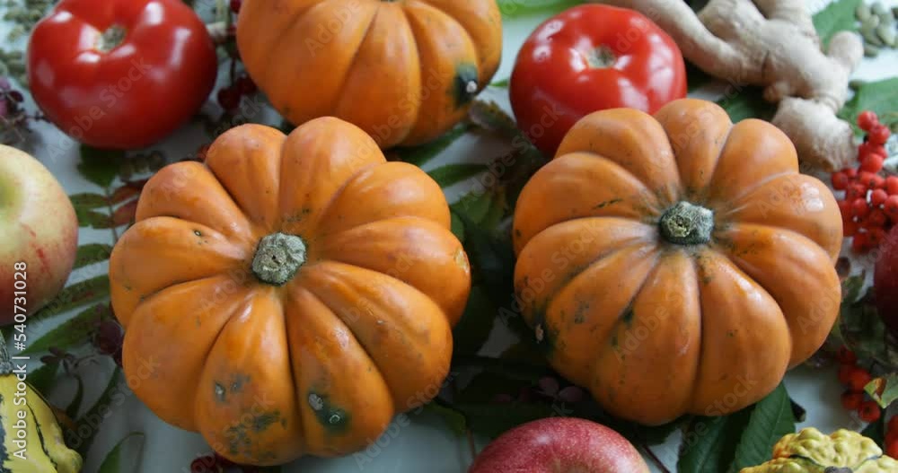 Pumpkins, autumn background, top view Pumpkins, autumn background, top view