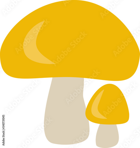 mushroom