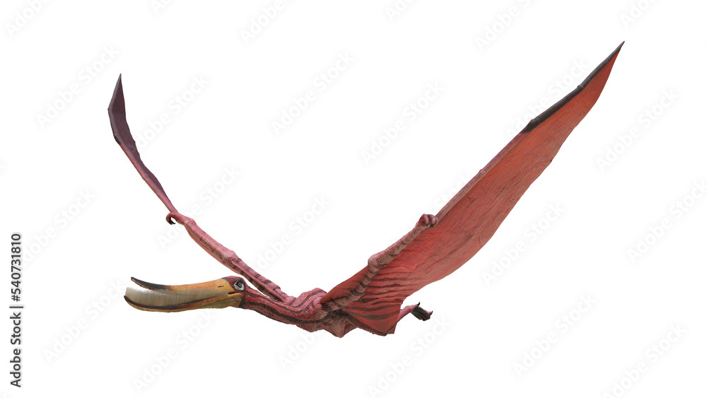 dinosaur illustration