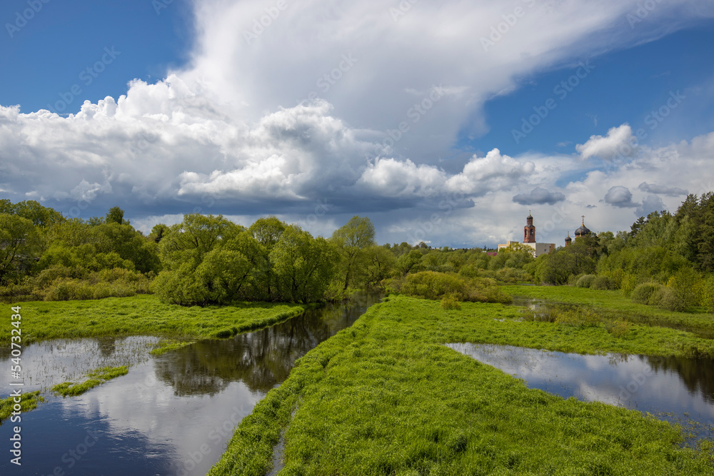 Rural landscape, bright May greenery, sunny day. Trees and bushes by the river. Rural landscape, bright May greenery, sunny day. Trees and bushes by the river.