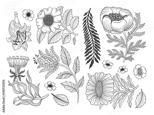 Collection vintage floral motif. William Moriss style art and craft movement. Design outline flower symbol.