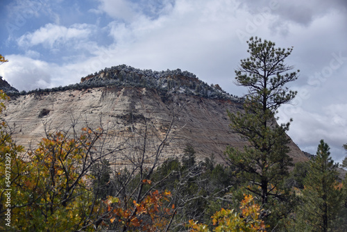 Trees in front of a Round Mesa