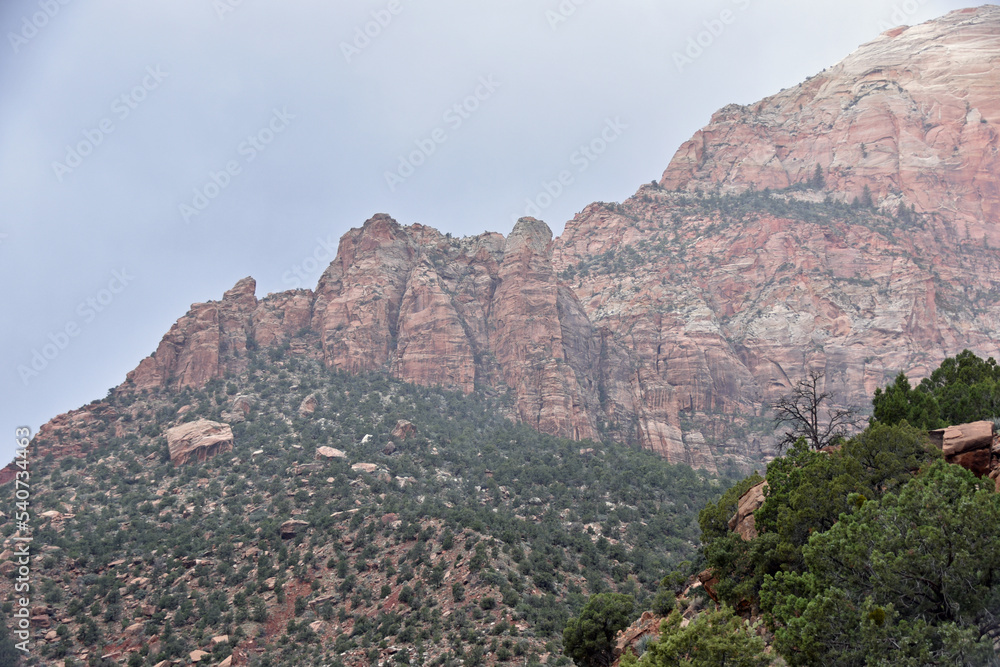Pink and White Mountains in Zion