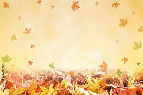 Falling Autumn Maple Leaves Natural Colorful Background