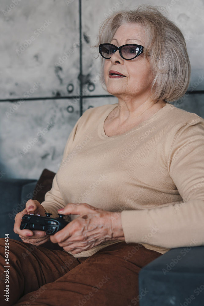 Fototapeta premium Portrait of a woman whose age doesn't bother her to feel young, playing with her mature daughter in video games spending time together. Rest, relax, coziness