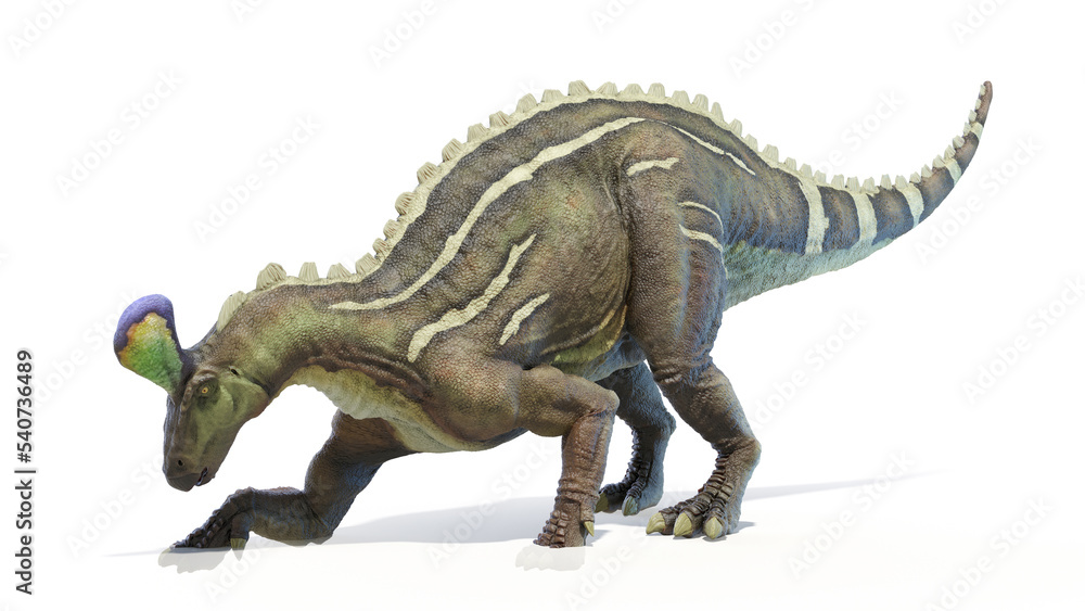 dinosaur illustration dinosaur illustration