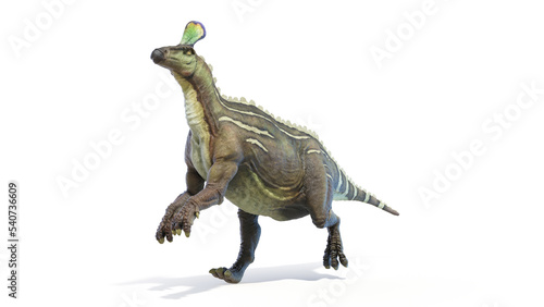 dinosaur illustration © Sebastian Kaulitzki