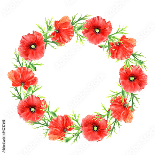 Poppies flower wreath, watercolor illustration isolated on white