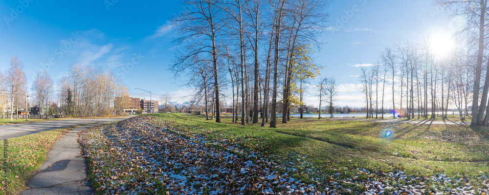 Panorama view hillside lakeside trail with fallen brown leaves covered in snow, dormant trees under sunny cloud blue sky in Lake Spenard, Anchorage
