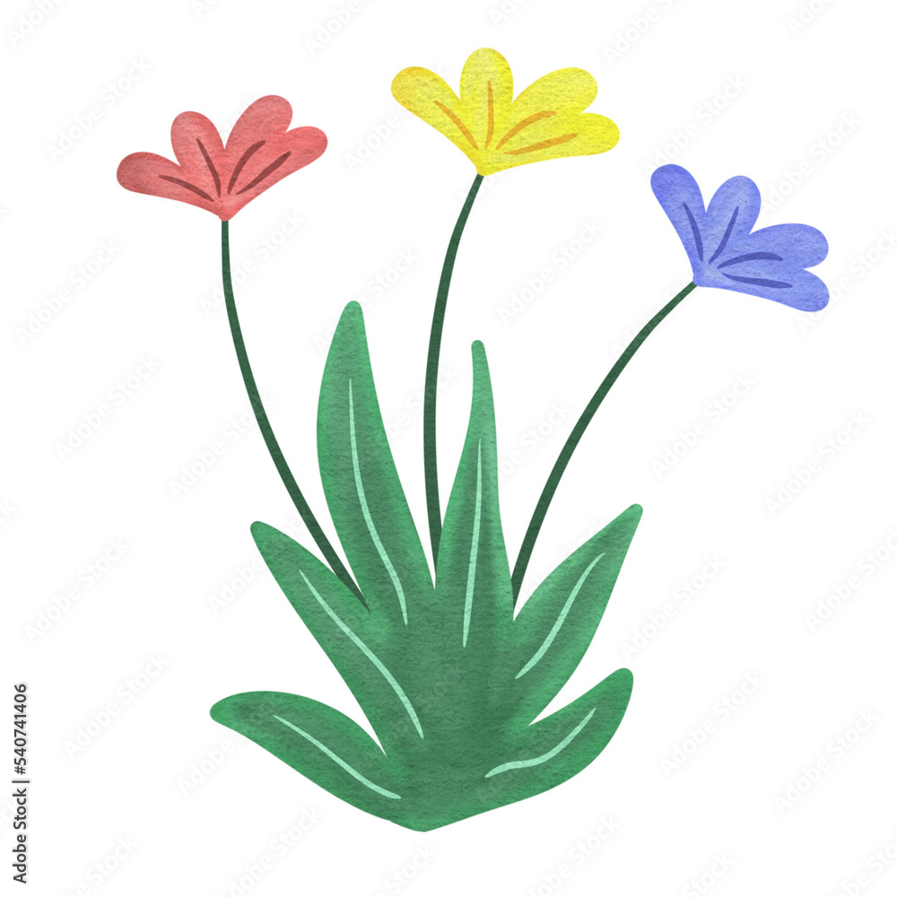 Flowers Grass Watercolor Clipart