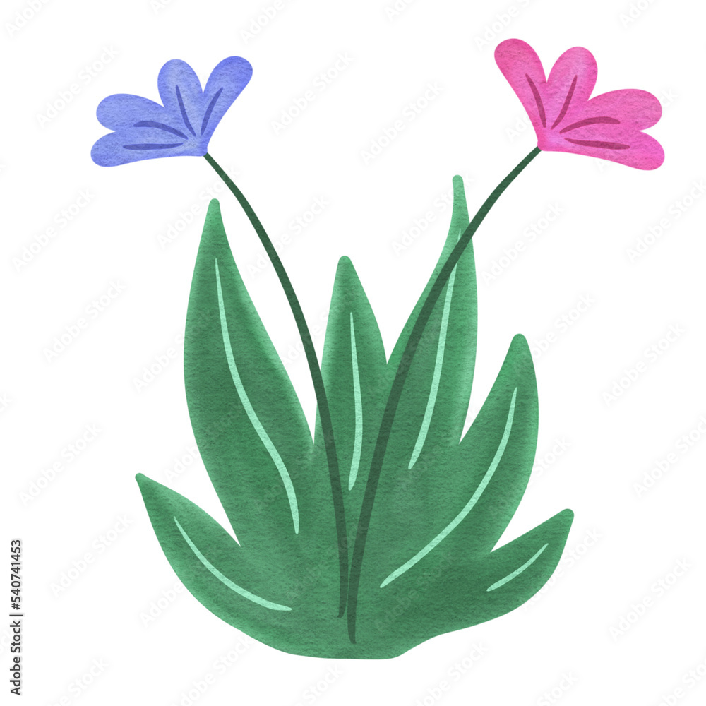 Flowers Grass Watercolor Clipart Flowers Grass Watercolor Clipart