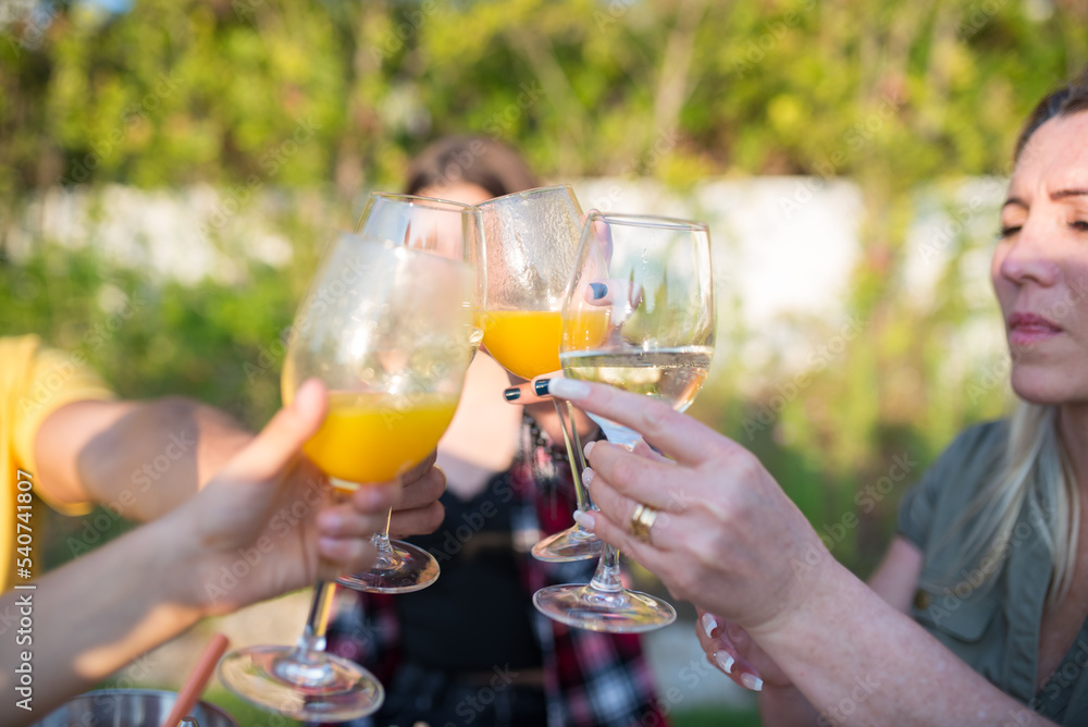 Close-up of family clinking glasses over table. Mid adult parents and children sitting around table, raising flutes with different beverages. BBQ, cooking, food, family concept Close-up of family clinking glasses over table. Mid adult parents and children sitting around table, raising flutes with different beverages. BBQ, cooking, food, family concept