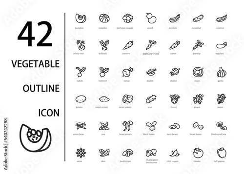 Vegetable icons set with outline style.
