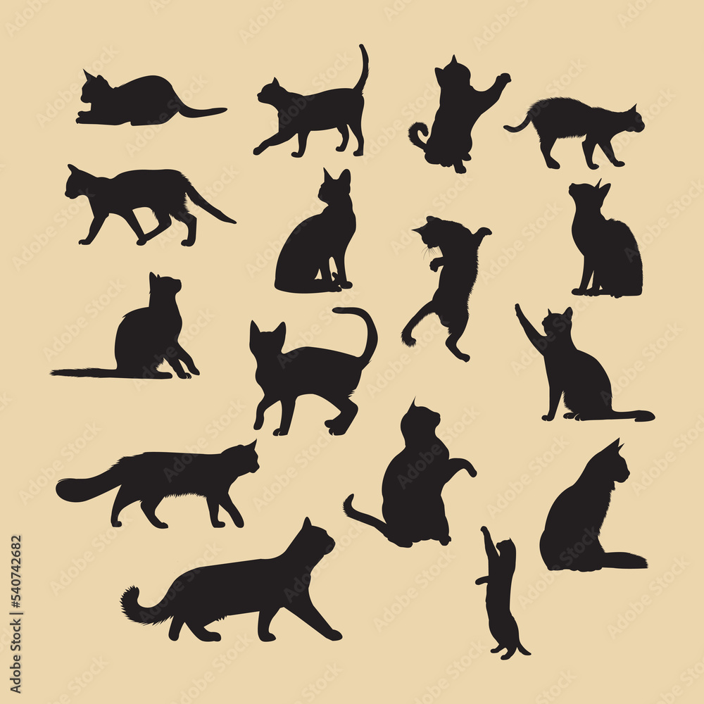 Cat Silhouette & illustration. This is an eps file. 