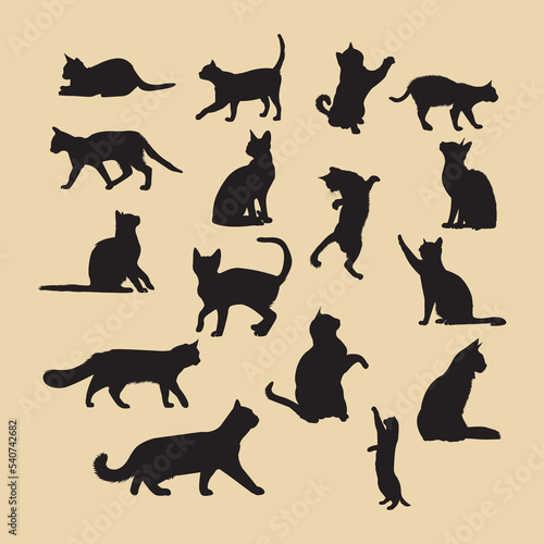 Cat Silhouette & illustration. This is an eps file. 