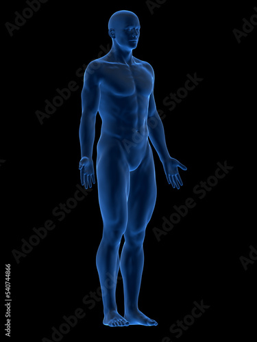 male body