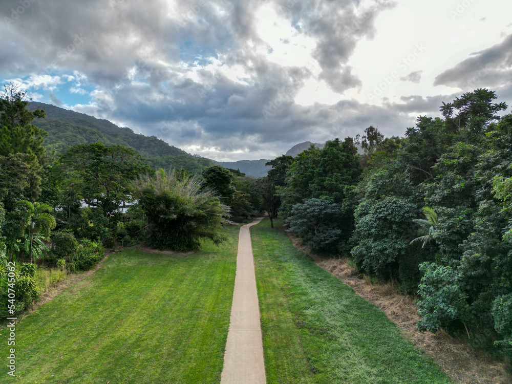 Aerial shot of a tropical woodland path showing direction in a photo