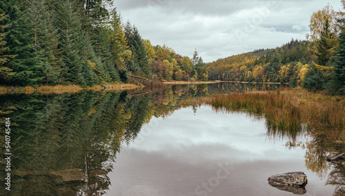 Autumnal Reflection in the Gwydir Forest