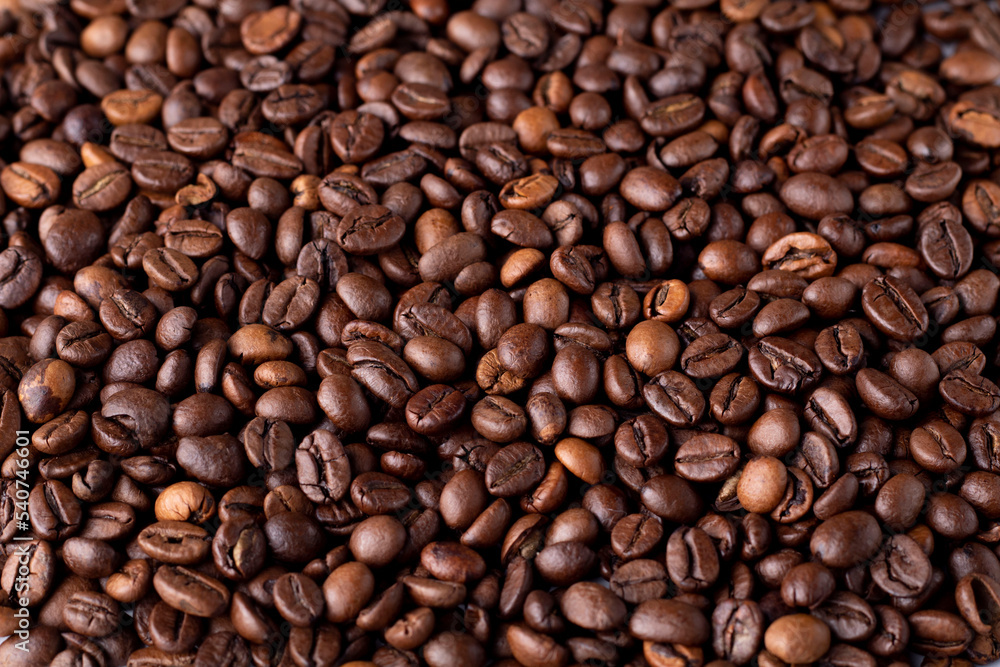 Close-up view of the coffee beans