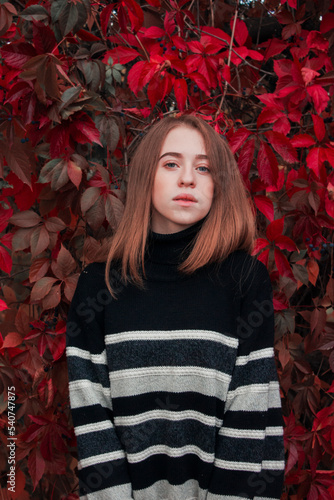 Autumn portrait of a beautiful cute woman against a background of bright red leaves. Warm black sweater