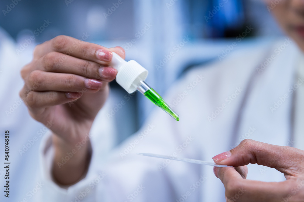 Close-up of Scientists are dripping organic plant extracts into test tubes and plates in the laboratory, Researchers testing plant-based drugs. Close-up of Scientists are dripping organic plant extracts into test tubes and plates in the laboratory, Researchers testing plant-based drugs.