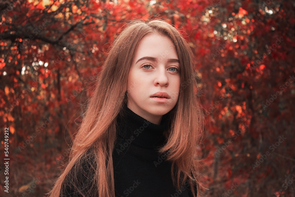 Autumn portrait of a beautiful cute woman against a background of bright red leaves. Warm black sweater